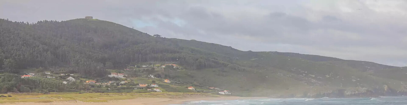 Doniños