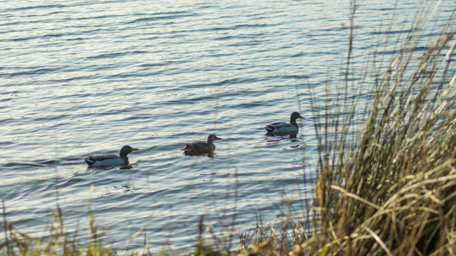 A LAGOA DA FROUXEIRA E ARREDORES