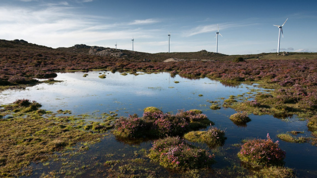 FORGOSELO E FALADOIRA