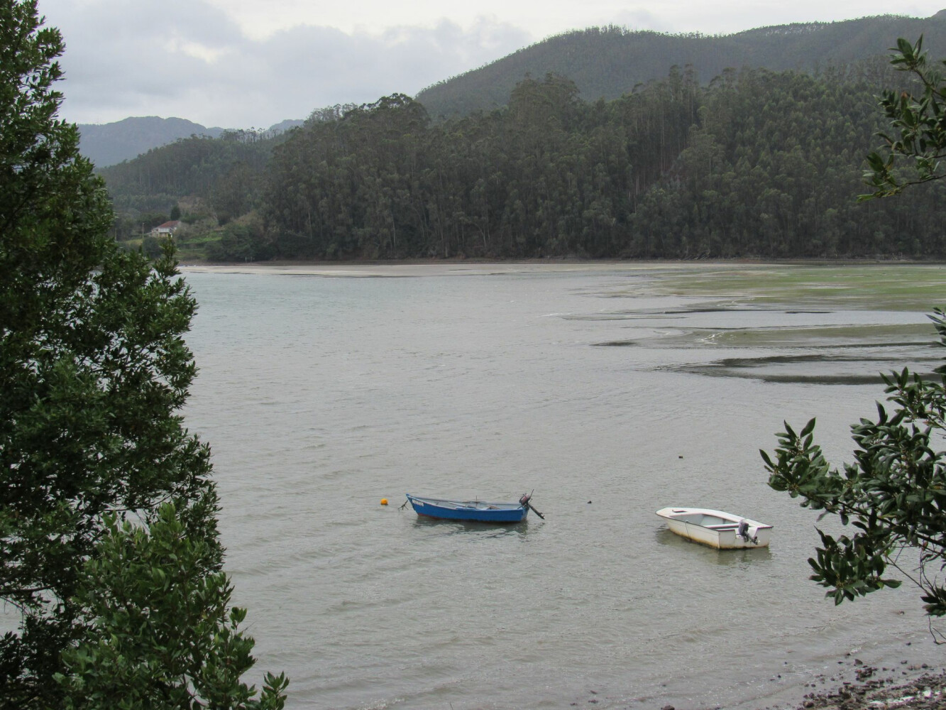 Playa de Figueiras