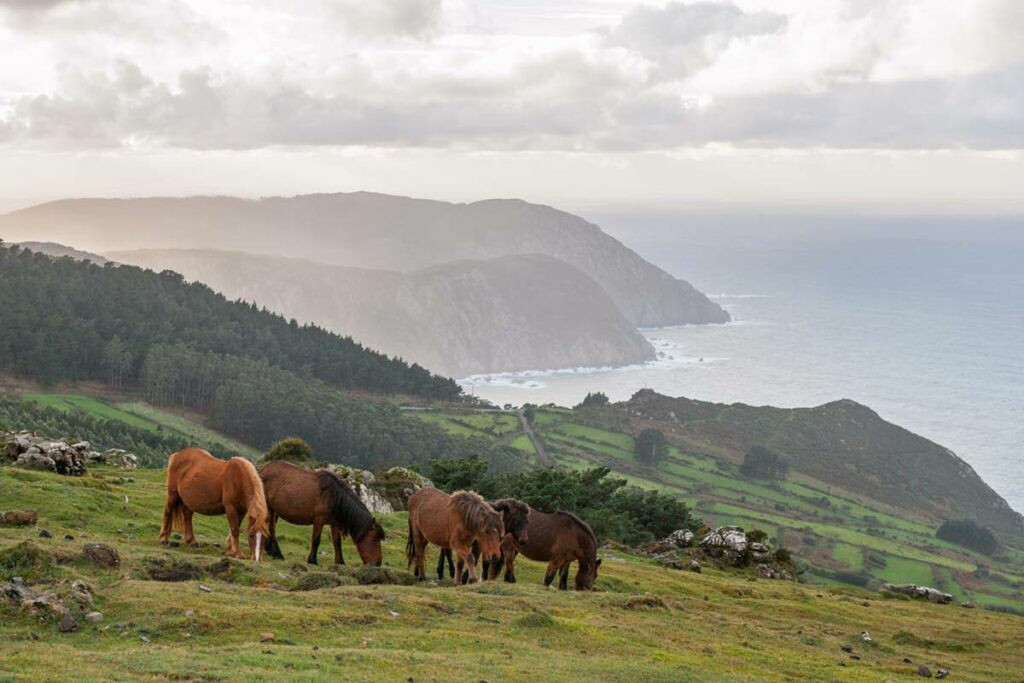 Sierra de o Xistral