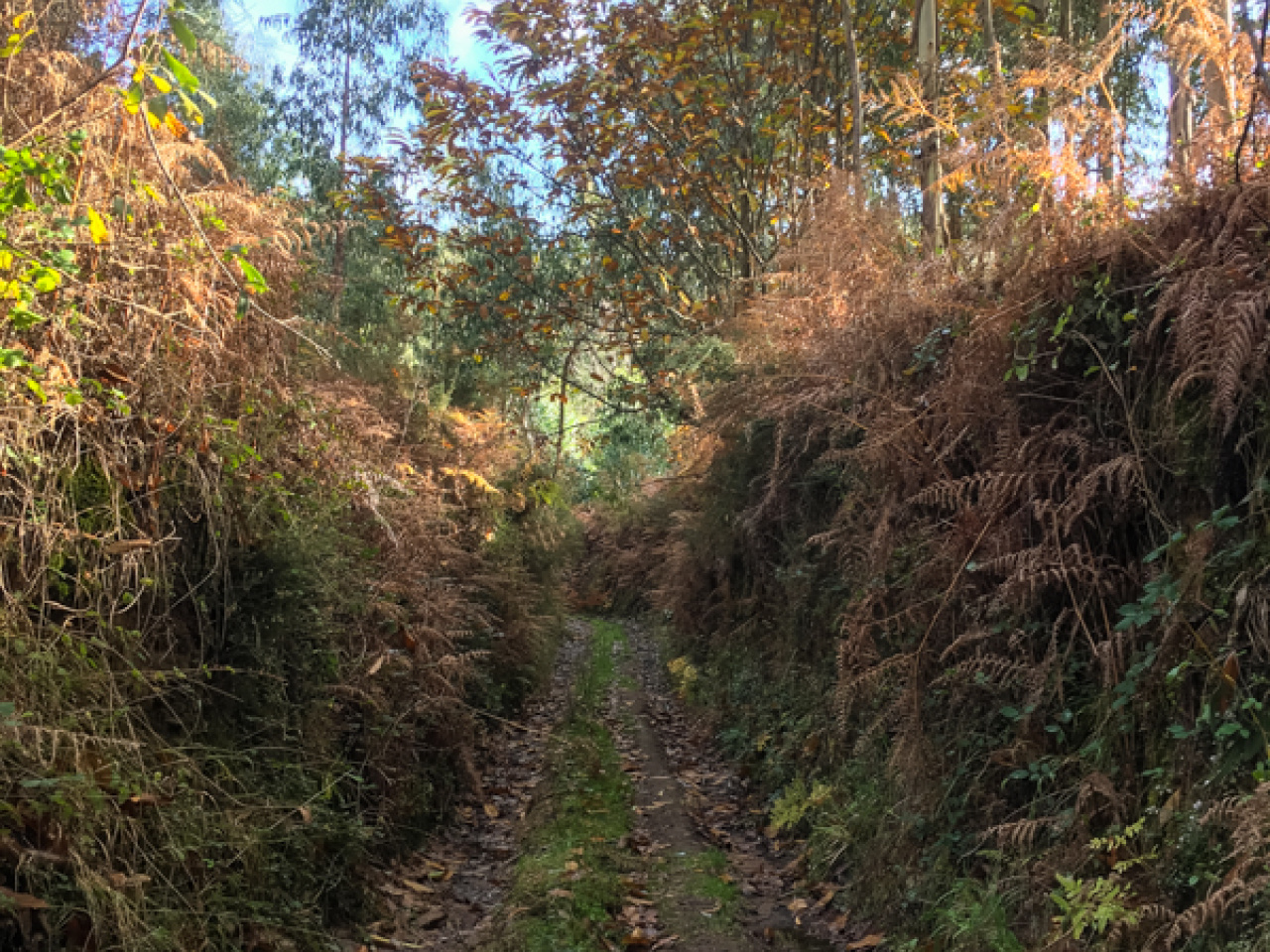 32320747Master.jpg