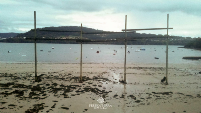 Sendares 6 - Seselle Redes