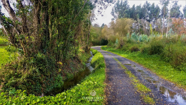 Sendares 3 - Cervás Lubre