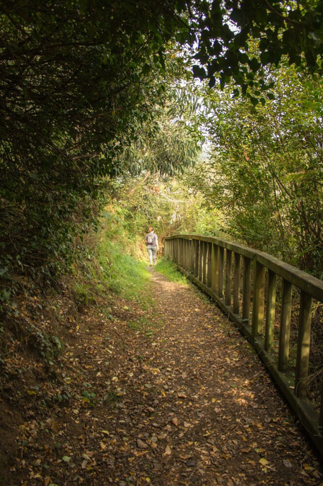 CAMIÑO DOS CANTÍS