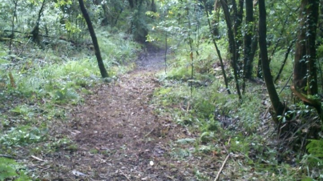 San Isidro Machuco Vello