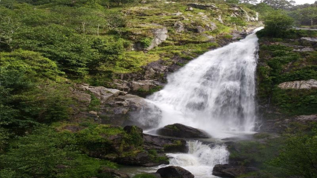 Belelle, Corrente das Ideas