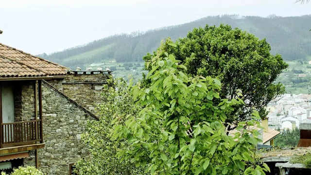 Hospedería Casa Cordobelas
